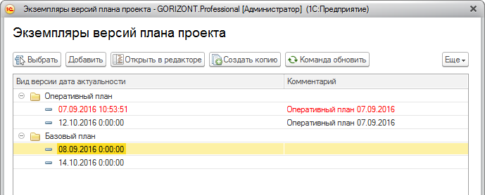 GORIZONT.Professional структура версий планов